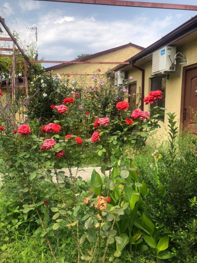 Hotel Villa Eniseli Екстериор снимка
